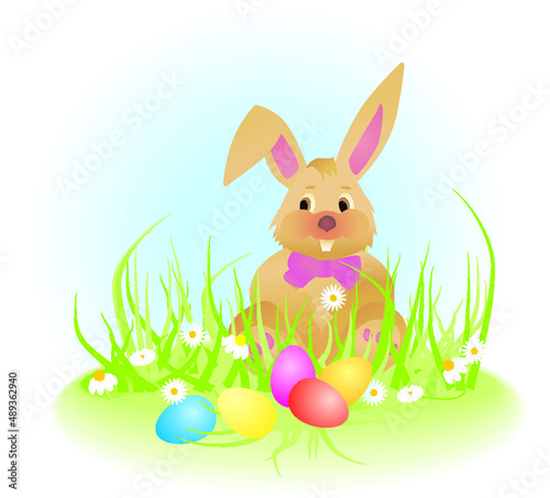 Easter spring bunny rabbit © Cherju
