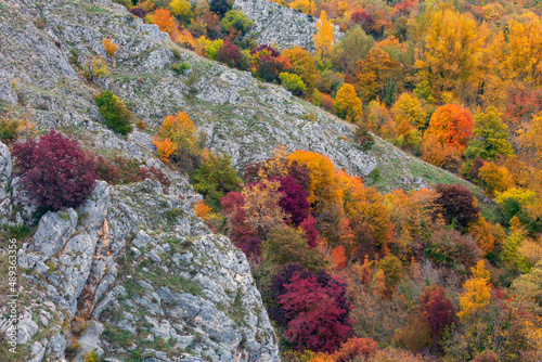 Panoramic view from the train in Abruzzo. The Trans-Siberian of Abruzzo. Trees in autumn 
