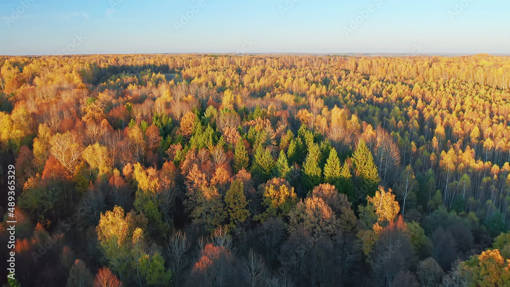 Fototapeta premium Autumn forest, Christian temple, beautiful nature shots from a drone, sunset, beauty of Russia, Buryatino village, aerial view