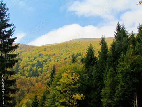 Scenic view of Porezen mountain in Gorenjska region of pre-alpine Slovenia in autumn with beautiful yellof forest canopy