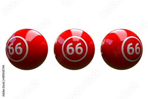 Bingo ball 66