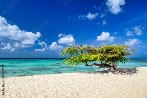 A panoramic view of Arashi Beach on the island of Aruba in the Caribbean photo