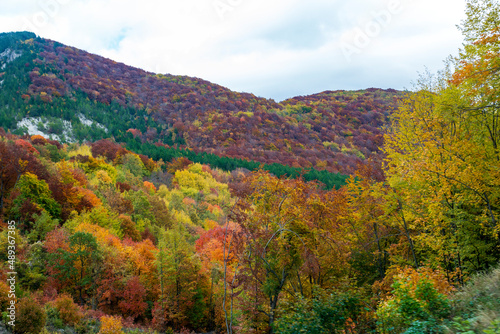Panoramic view from the train in Abruzzo. The Trans-Siberian of Abruzzo. Trees in autumn 