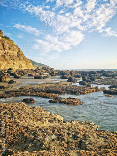 Beautiful shot of a seascape taken in Maukatia Bay, Muriwai, Auckland photo