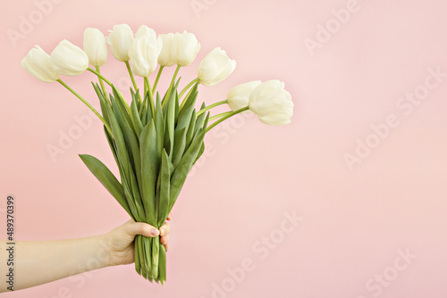 bouquet of white tulips in hand flowers on a pink background Place for text. Postcard. Holiday. Women's Day. Valentine's Day. mothers Day © Наталья Мироненко