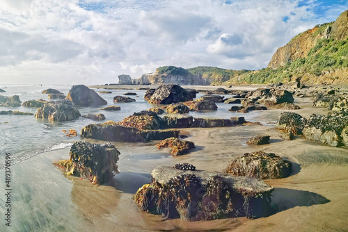 Beautiful shot of a seascape taken in Maukatia Bay, Muriwai, Auckland photo