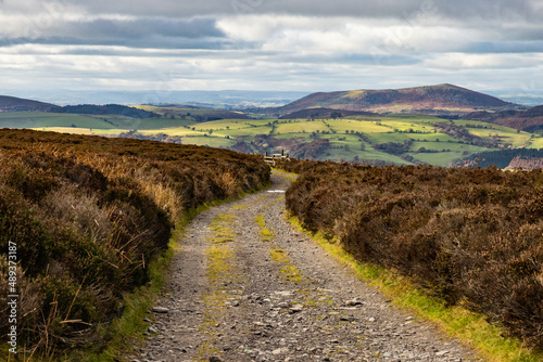 A gravel path lined by heather leads to a view of Cordon Hill in the Shropshire Hills photo
