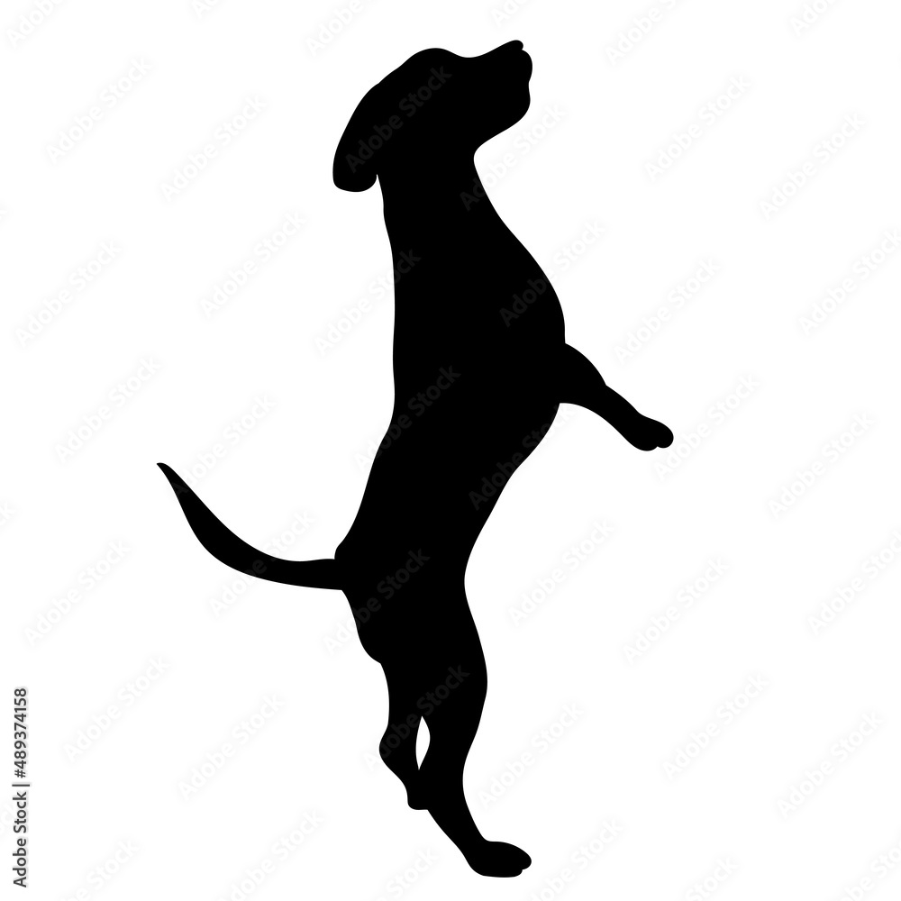 dog, black silhouette, isolated vector dog, black silhouette, isolated vector