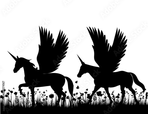 pegasus on the grass silhouette, isolated