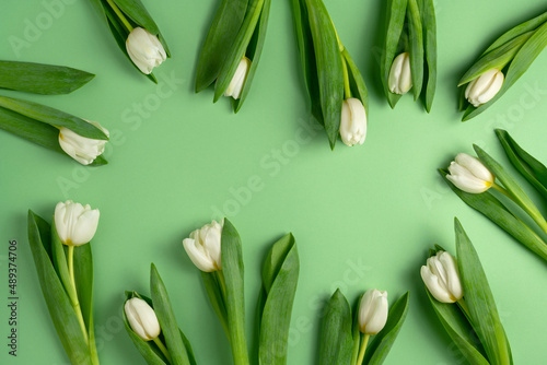 White tulips on green background. Natural fresh spring flowers with green leaves. Tender composition. Floral seasonal flat lay. Holiday greeting card. Women s day celebration. Top view  copy space.