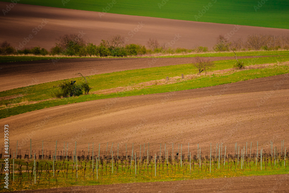 Moravian Tuscany is a popular name for the area near Kyjov in the South Moravian Region, which with its terrain waves resembles the landscape of Italian Tuscany