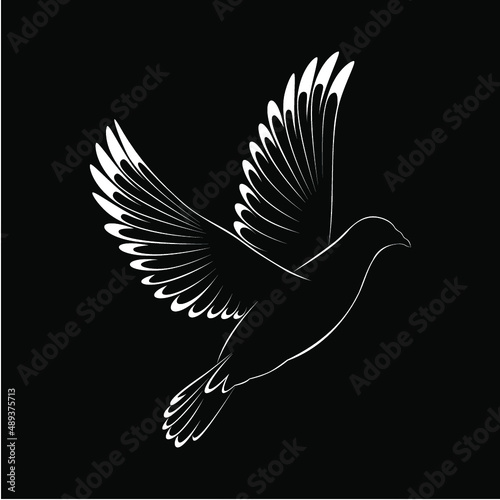 Pomba em fundo preto