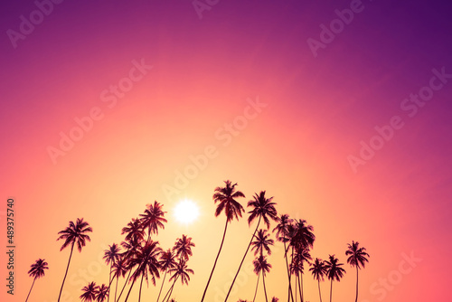 Coconut palm trees silhouettes on tropical beach during vivid sunset with colorful sky