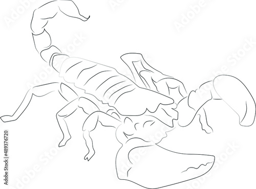 Stylized vector drawing drawn with strokes of lines of different thicknesses. Zodiac signs. Scorpio. Scorpion with upturned tail.