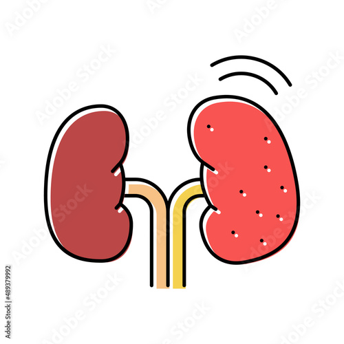cancer kidney color icon vector illustration
