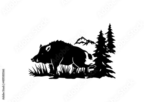 wild boar design