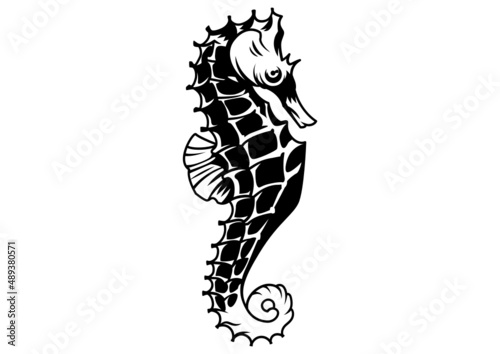 seahorse drawing