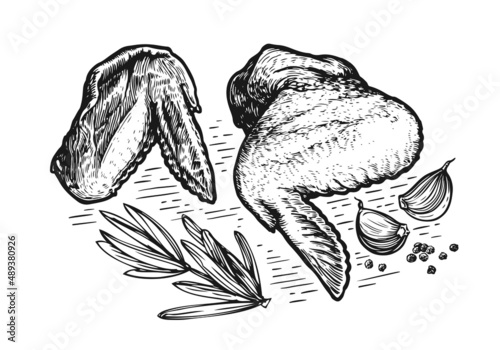 Chicken wings meat food. Black and white hand drawn sketch engraving vector illustration