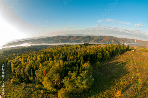 colorful orange autumn in mountains with green spruce © mikhailgrytsiv