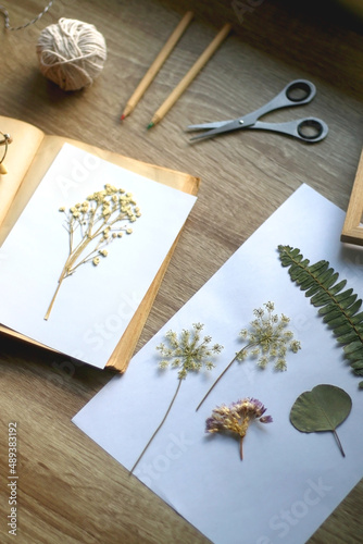 Old book, papers, various pressed flowers, eyeglasses, scissors, pencils and rope on wooden desk. Crafting and making herbarium at home. Selective focus. photo