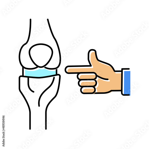 knee-joint radiology color icon vector illustration flat