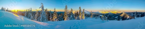 beautiful winter panorama in the mountains on a sunny day © mikhailgrytsiv