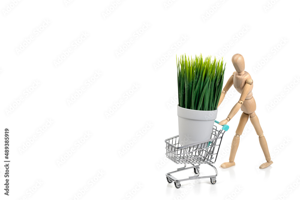 Wooden mannequin pushes a shopping cart with green grass in a pot isolated on a white background. Garden concept. Copy space. Wooden mannequin pushes a shopping cart with green grass in a pot isolated on a white background. Garden concept. Copy space.