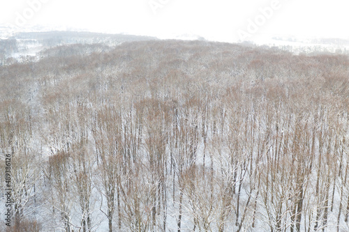 Wallpaper Mural Beautiful nature reserve forest ecological landscape Earth Silesia Bytom UNESCO Torontodigital.ca