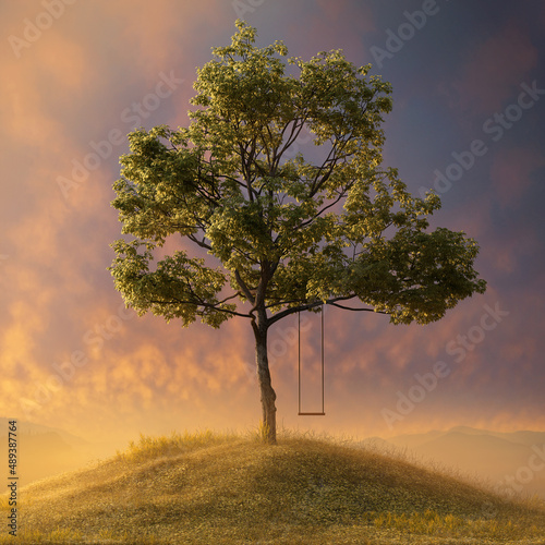 Peaceful tree with swing on a hill photo