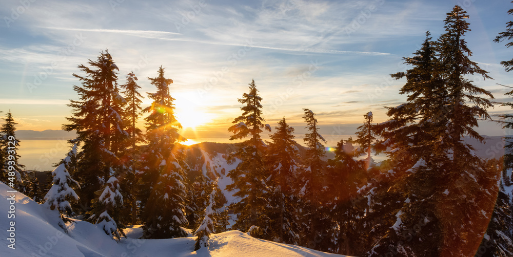 Obraz premium Sunset View from top of Hollyburn Mountain in Winter Season. West Vancouver, British Columbia, Canada. Canadian Nature Background