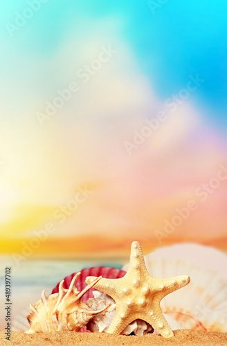 Fototapeta Naklejka Na Ścianę i Meble -  Seashells and starfish on seashore in tropical beach - summer holiday background