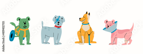 Happy dogs with disabilities. Animals with prosthetic legs, eye patch, protective E-collar or the cone. The concept of veterinary medicine, operating and prosthetics of domestic animals. 