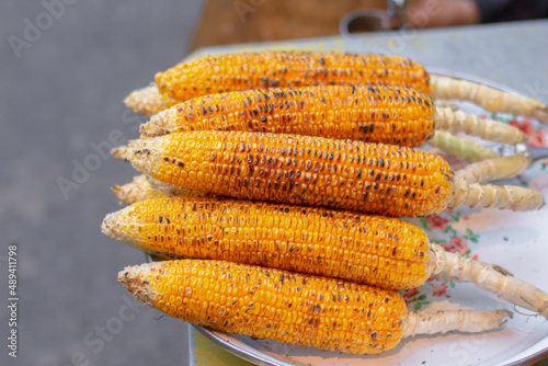 Close-up of Brugmansia suaveolens, Brazilian white angel trumpet flower, growing wild in asia