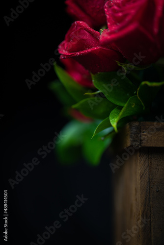 beautiful photo of beautiful red roses with green leaves in a wooden pot, lit from above, on a black background, a surprise for a sweetheart, valentine's day
