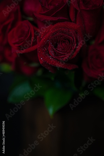 beautiful photo of beautiful red roses with green leaves in a wooden pot, lit from above, on a black background, a surprise for a sweetheart, valentine's day