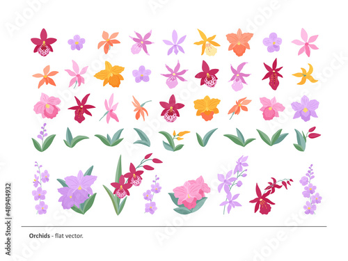 A large set of flowers, buds, leaves and twigs of different varieties of orchids. Light, elegant flowers for your compositions and designs. Flat vector illustration.