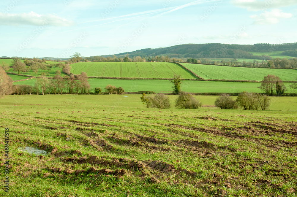 Springtime landscape in the UK.