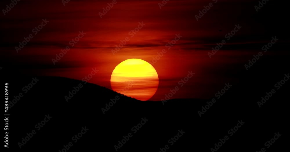 Landscapes nature sun light earth orange skies sky renewable energy plant Landscapes nature sun light earth orange skies sky renewable energy plant