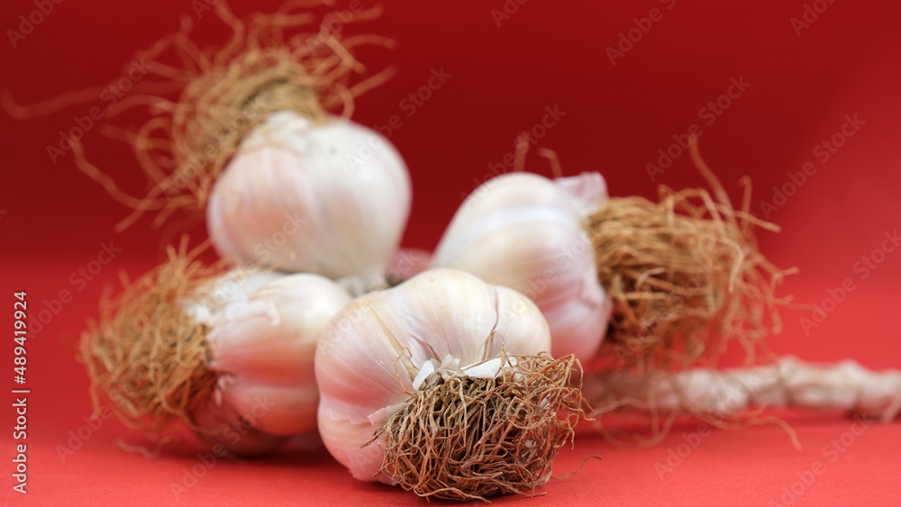 garlic on the red background garlic on the red background