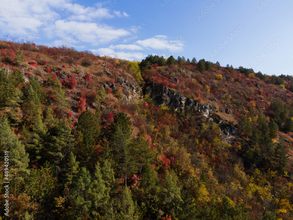 Beautiful and red forest and green pines, many trees on hills in the autumn sunny day. Beautiful and red forest and green pines, many trees on hills in the autumn sunny day.