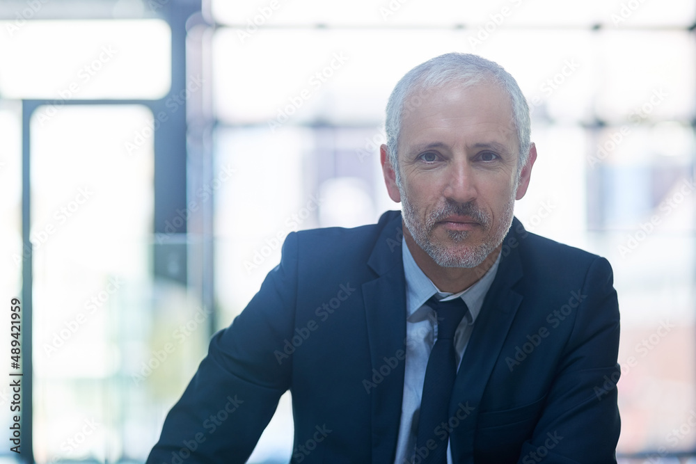 Scoring success is what I do. Portrait of a mature businessman standing in a modern office. Scoring success is what I do. Portrait of a mature businessman standing in a modern office.