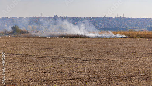 Stubble Burning Crops