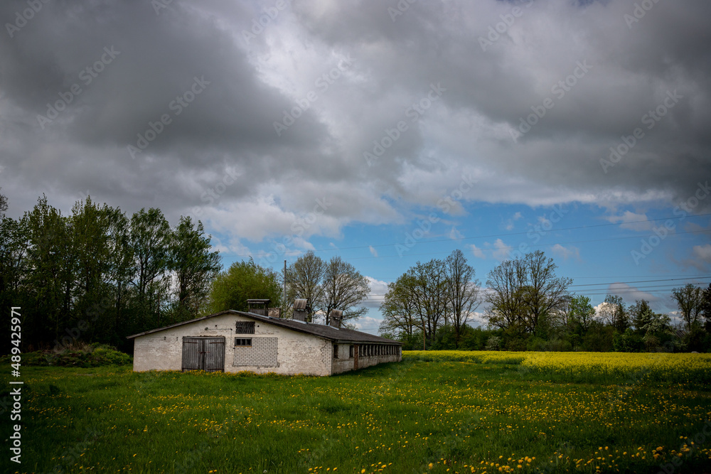 old farmhouse in dandelion field near forest in Latvia. Abandoned soviet building old farmhouse in dandelion field near forest in Latvia. Abandoned soviet building