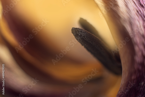 abstract nature background with soft focus.