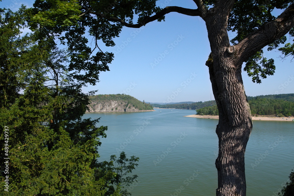 lake in the forest