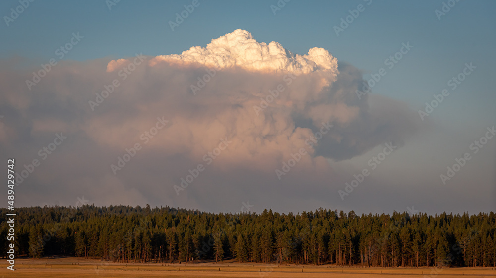 A billowing cloud of wildfire smoke rising over rural america A billowing cloud of wildfire smoke rising over rural america