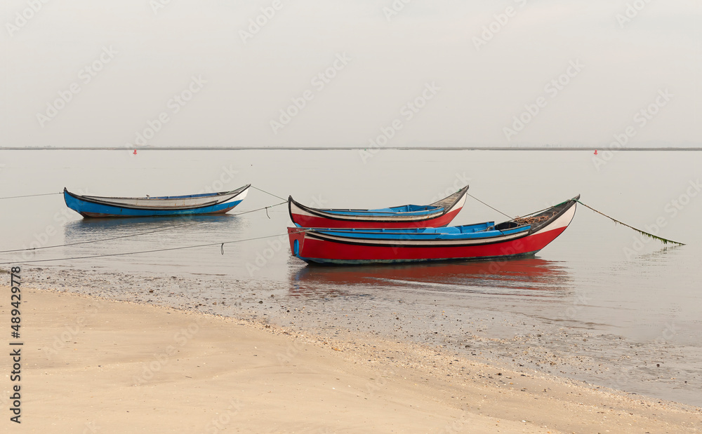 colorful fishing boats on the banks of the Ria de Aveiro in Murtosa
