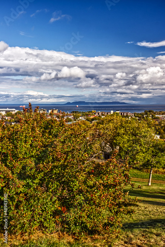 Lush vegetation seen from the hill top - Thunder Bay, ON, Canada photo