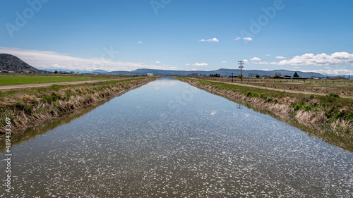 Wallpaper Mural Irrigation canal with water in dry climate Torontodigital.ca