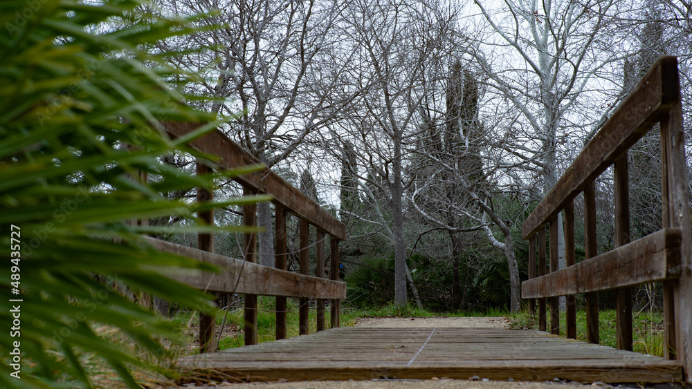 Puente en Jardín Puente en Jardín